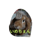 fivebrother（個別スタンプ：5）