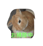 fivebrother（個別スタンプ：7）