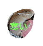 fivebrother（個別スタンプ：8）