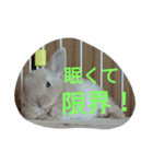 fivebrother（個別スタンプ：12）
