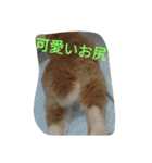 fivebrother（個別スタンプ：14）