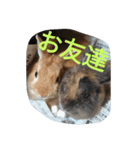 fivebrother（個別スタンプ：18）