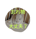 fivebrother（個別スタンプ：21）