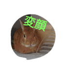 fivebrother（個別スタンプ：23）