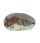 fivebrother（個別スタンプ：25）