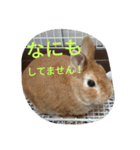 fivebrother（個別スタンプ：26）