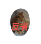 fivebrother（個別スタンプ：30）