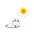 steamed roll rabbit（個別スタンプ：34）