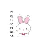 steamed roll rabbit（個別スタンプ：36）