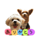 ククトトスタンプ（個別スタンプ：7）