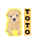 ククトトスタンプ（個別スタンプ：10）