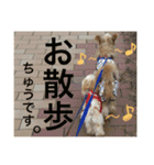 ククトトスタンプ（個別スタンプ：14）