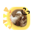 ククトトスタンプ（個別スタンプ：23）