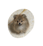 A little dags（個別スタンプ：1）