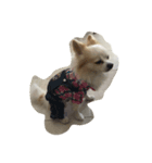 A little dags（個別スタンプ：2）