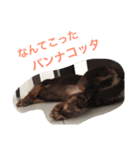 みるきなスタンプ（個別スタンプ：9）