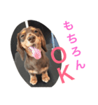 みるきなスタンプ（個別スタンプ：13）