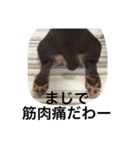みるきなスタンプ（個別スタンプ：15）