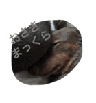 みるきなスタンプ（個別スタンプ：17）