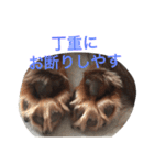 みるきなスタンプ（個別スタンプ：22）
