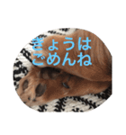 みるきなスタンプ（個別スタンプ：23）