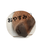みるきなスタンプ（個別スタンプ：24）