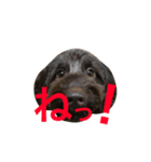 リュカち！（個別スタンプ：3）