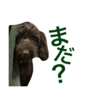 リュカち！（個別スタンプ：8）