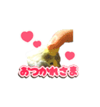 インコのぴーちゃんスタンプ（個別スタンプ：15）