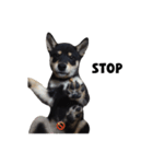ShibaInu Bagel intl.（個別スタンプ：16）
