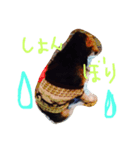 愛犬ヒロ（個別スタンプ：7）
