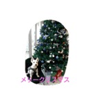 wanwanparadise（個別スタンプ：11）