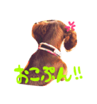 エルといっしょ【ミニチュアダックス】（個別スタンプ：4）
