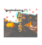 ぽ〜にゃんの心の声（個別スタンプ：6）