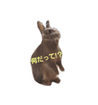 ごきげんうさぎのジュエラくん（個別スタンプ：5）