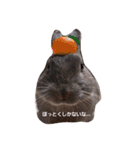 ごきげんうさぎのジュエラくん（個別スタンプ：6）