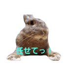 ごきげんうさぎのジュエラくん（個別スタンプ：24）