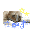 ねことくも（個別スタンプ：2）