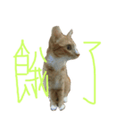 ねことくも（個別スタンプ：3）