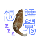 ねことくも（個別スタンプ：4）