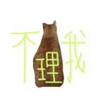 ねことくも（個別スタンプ：6）