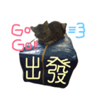 ねことくも（個別スタンプ：12）