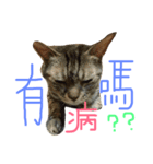 ねことくも（個別スタンプ：14）
