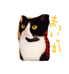 gattogattogatto（個別スタンプ：1）