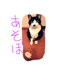 gattogattogatto（個別スタンプ：2）