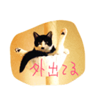 gattogattogatto（個別スタンプ：5）