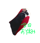 gattogattogatto（個別スタンプ：6）
