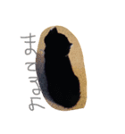 gattogattogatto（個別スタンプ：8）