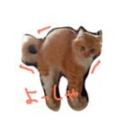 にゃー時々るなくま（個別スタンプ：3）