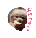 にゃー時々るなくま（個別スタンプ：4）